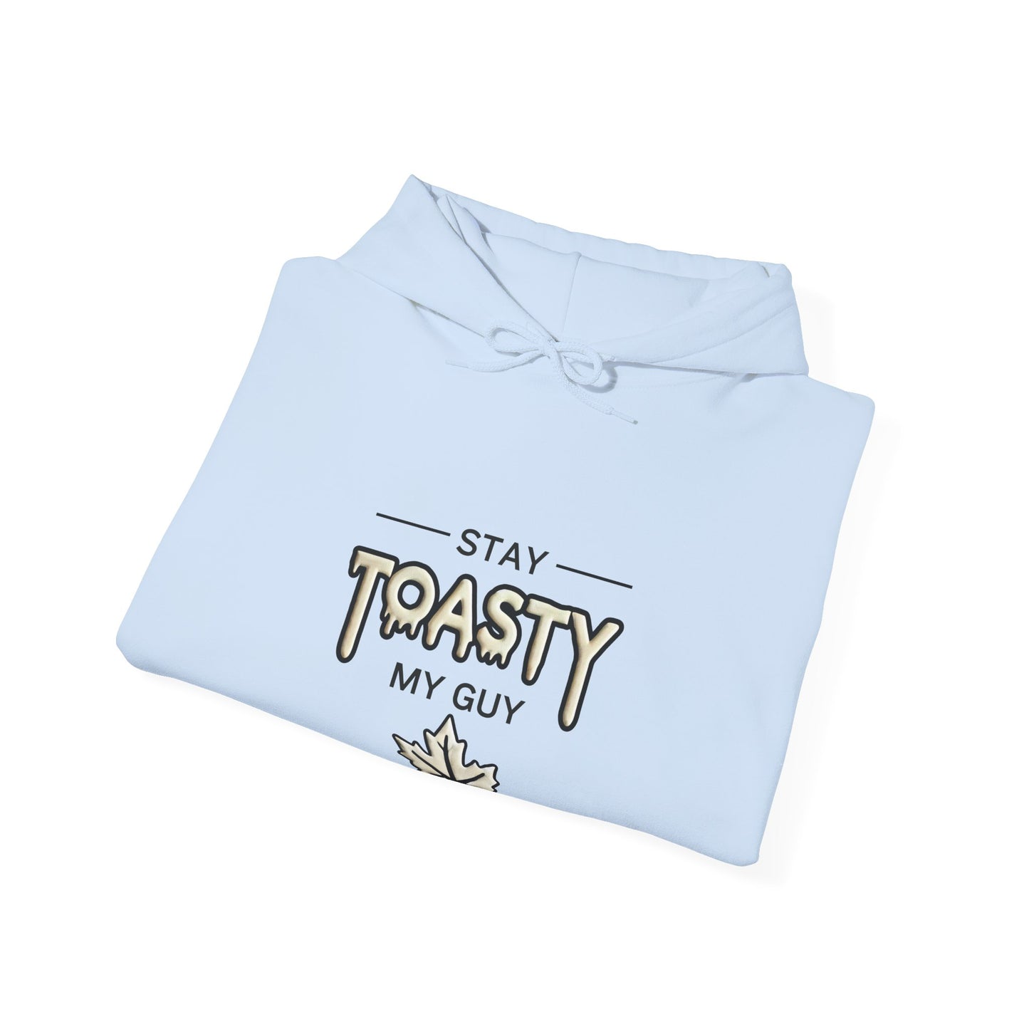 Stay Toasty Hoodie