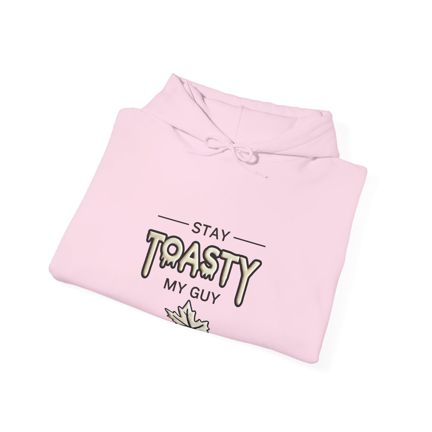 Stay Toasty Hoodie