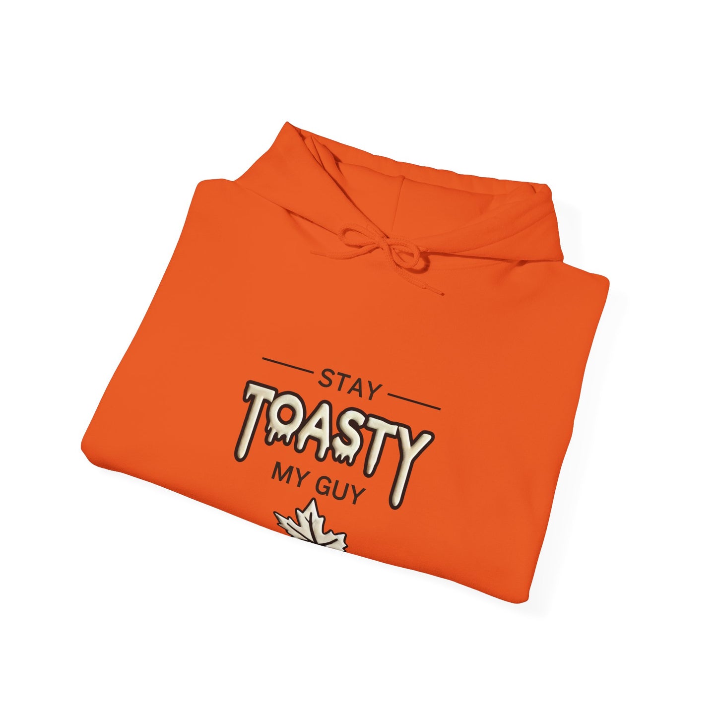 Stay Toasty Hoodie